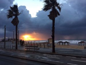 received_10211378832323632