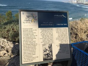 received_10211384554946694